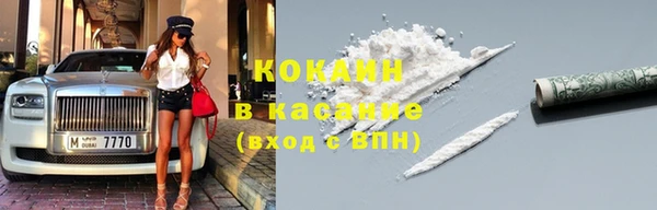шишки Шали