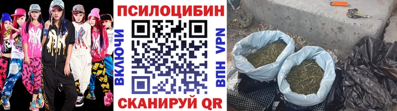 Галлюциногенные грибы ЛСД  Весьегонск 